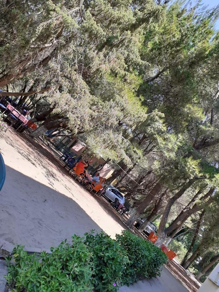 Divjaka Park Bagian luar foto